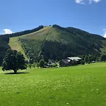 Romantikapartment Mit Wintercard Ramsau am Dachstein
