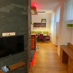 Apartment Romantikapartment Mit Wintercard Ramsau am Dachstein