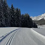 Romantikapartment Mit Wintercard * Ramsau am Dachstein