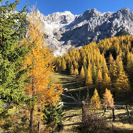 Romantikapartment Mit Sommercard Schladming Dachstein *