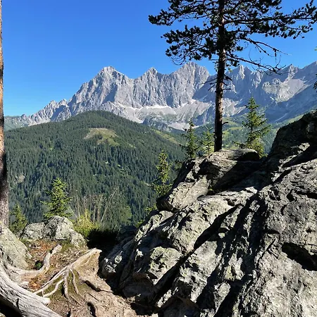 Lejlighed Romantikapartment Mit Sommercard Schladming Dachstein