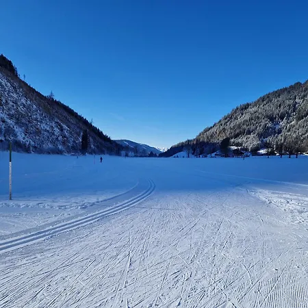 Romantikapartment Mit Wintercard Ramsau am Dachstein
