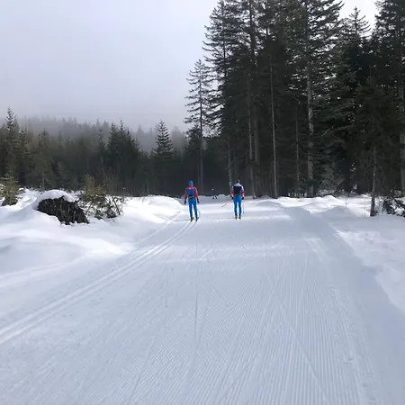 公寓 Romantikapartment Mit Wintercard *