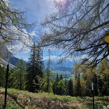 Romantikapartment Mit Sommercard Schladming Dachstein *