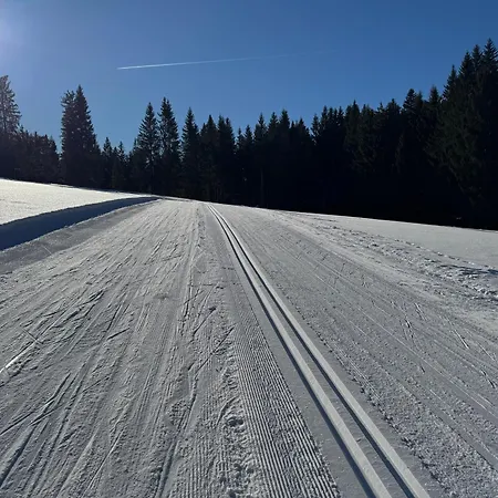 Romantikapartment Mit Wintercard Lägenhet Ramsau am Dachstein