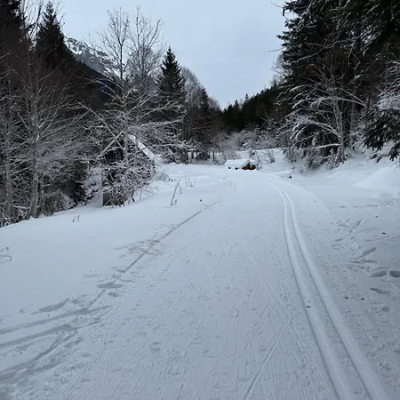 Romantikapartment Mit Wintercard Apartment Ramsau am Dachstein