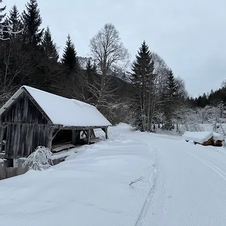 Romantikapartment Mit Wintercard Apartment