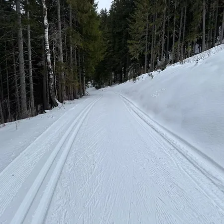 Romantikapartment Mit Wintercard