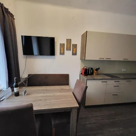 Romantikapartment Mit Wintercard Apartmán *