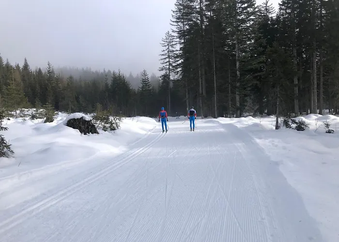 Appartamento Romantikapartment Mit Wintercard *