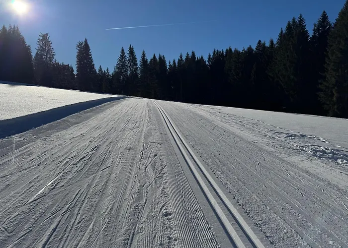 Romantikapartment Mit Wintercard Appartamento Ramsau am Dachstein