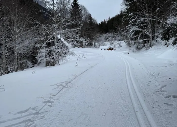 Romantikapartment Mit Wintercard Appartement Ramsau am Dachstein