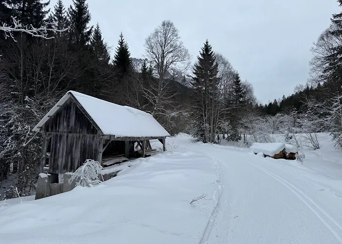 Romantikapartment Mit Sommercard Schladming Dachstein 아파트