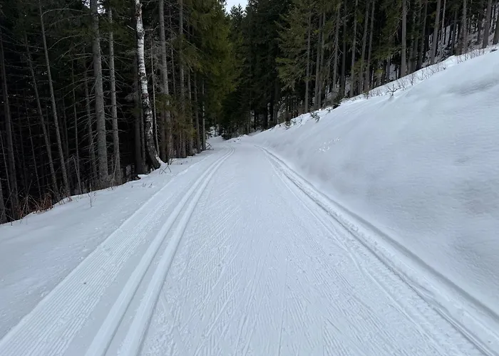 Romantikapartment Mit Sommercard Schladming Dachstein