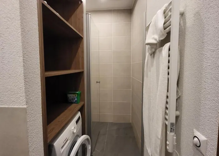 Romantikapartment Mit Wintercard Appartement