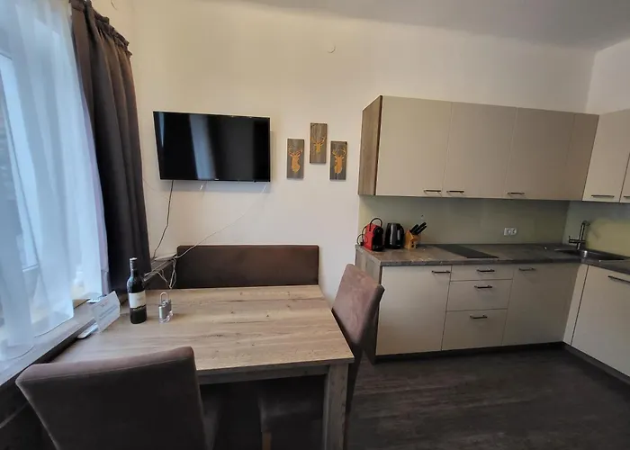 Romantikapartment Mit Wintercard Appartamento *